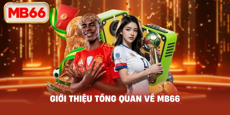 Giới Thiệu Tổng Quan Về MB66